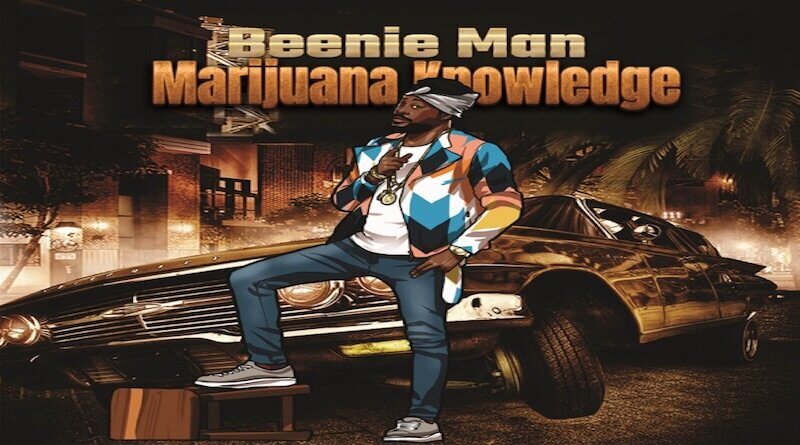 BEENIE MAN - Marijuana Knowledge - Reggae 2021
