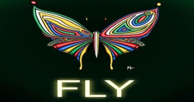 Fly - Kalima, Afrobeats 2023