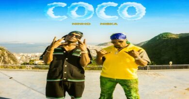 Coco by Ninho & Niska - Afrobeats 2024