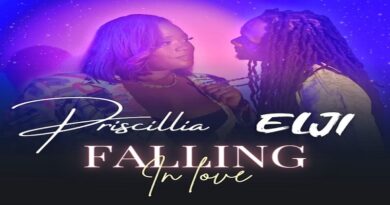 Falling in love By Priscillia Ft. Elji - Afrobeats 2024
