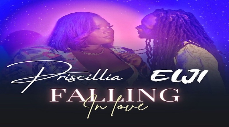 Falling in love By Priscillia Ft. Elji - Afrobeats 2024
